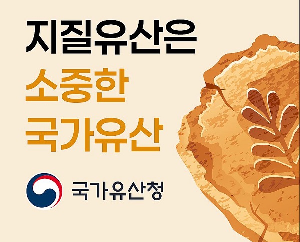 배너