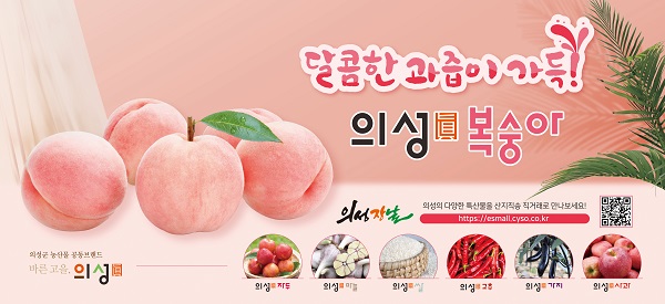 배너