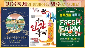 배너