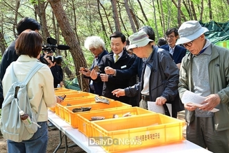 고령 합가리, 대가야토기 최대 생산처 확인