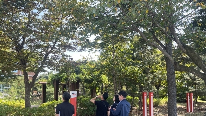 경북 산림자원국, APEC 대비 경주 가로수·가로경관 관리 총력