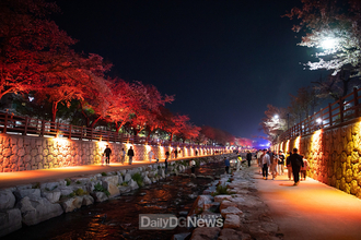 “우리의 밤은 당신의 낮보다 아름답다”