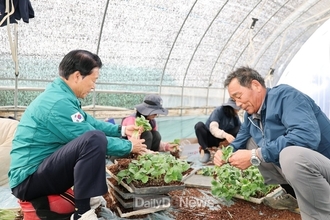 성주군, 참외 조수입 7,000억 목표 본격 시동