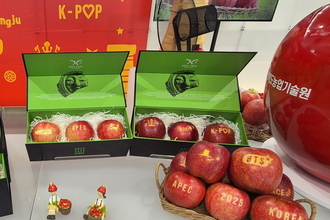 문경 감홍 사과, APEC 정상회의서 빛나다!