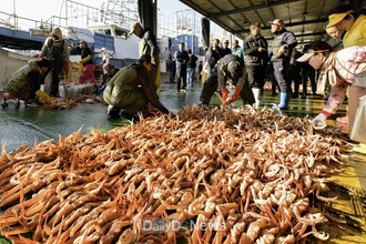 영덕대게, 풍어 기원과 함께 2025년 첫 위판 시작