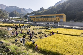 세대 간 벼 수확 체험하며 우리 쌀의 소중함 배우다!