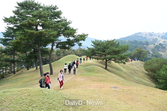 세계유산에 빛나는 고령 지산동 고분군의 역사적 의미 돼새기다!