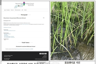 국립낙동강생물자원관, 국내 자생 담수식물의 향장산업 국제시장 경쟁력 강화