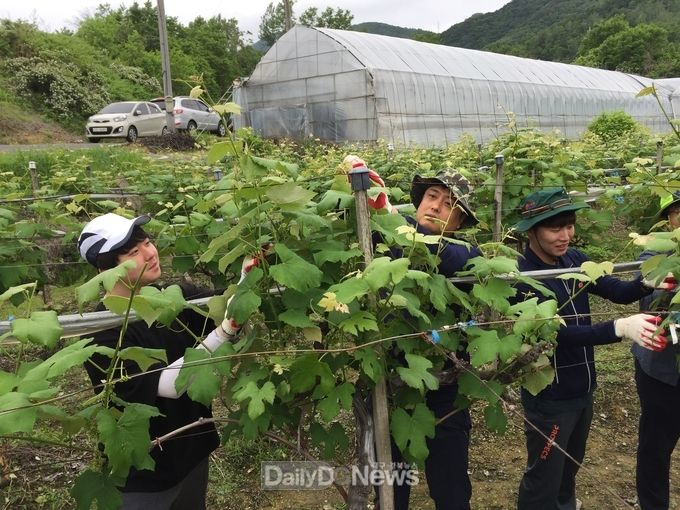 사진제공 김천시 