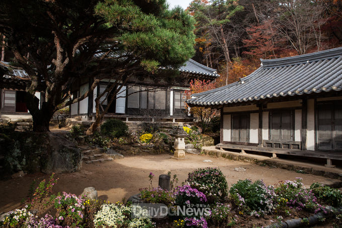 사진제공 안동시 (봉정사 전경)