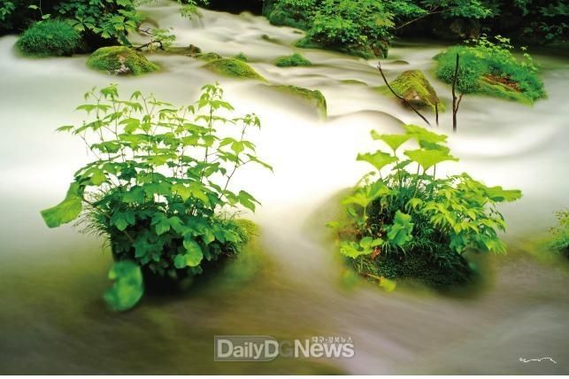 사진제공 구미시