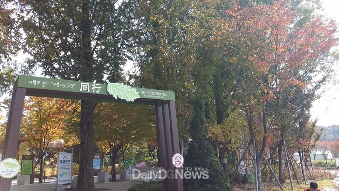영동선 횡성(서창)휴게소 메타세콰이어 쉼터