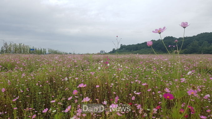 사진제공 예천군