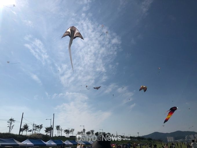 사진제공 포항시