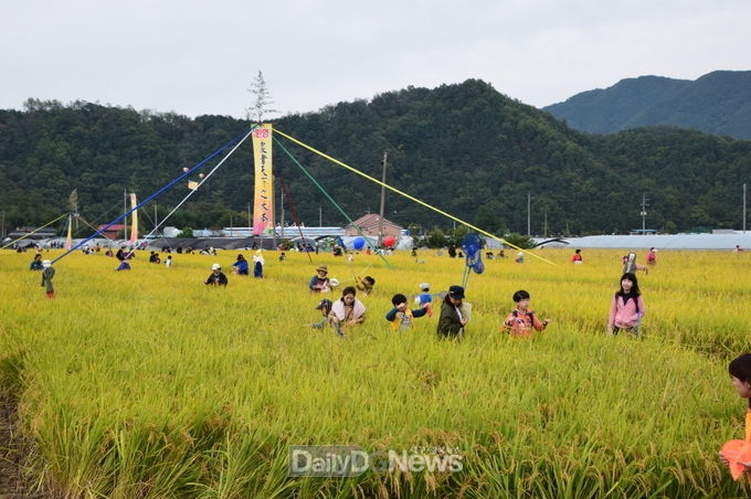 사진제공 성주군