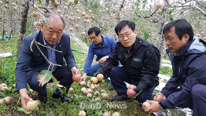 사진제공 봉화군