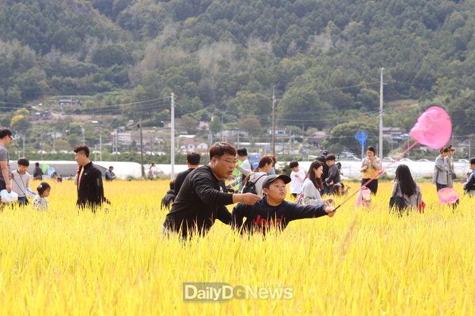 사진제공 성주군