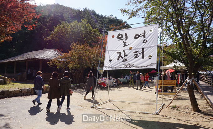 사진제공 안동시
