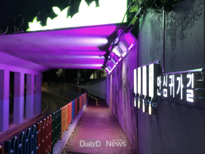 사진제공 안동시