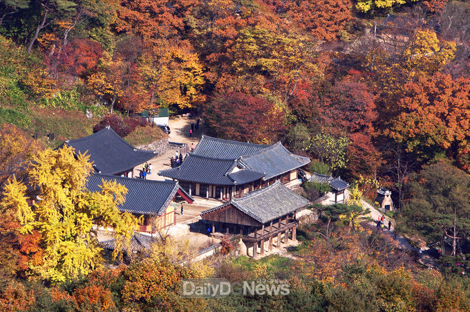 사진제공 안동시