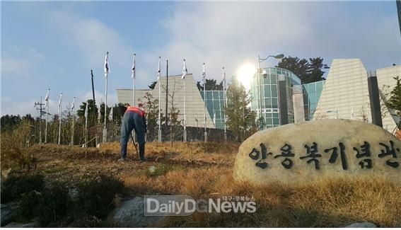 사진제공 울릉군