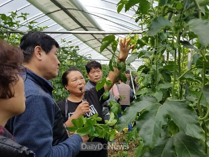 사진제공 예천군