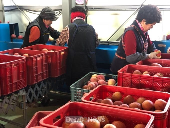 사진제공 상주시