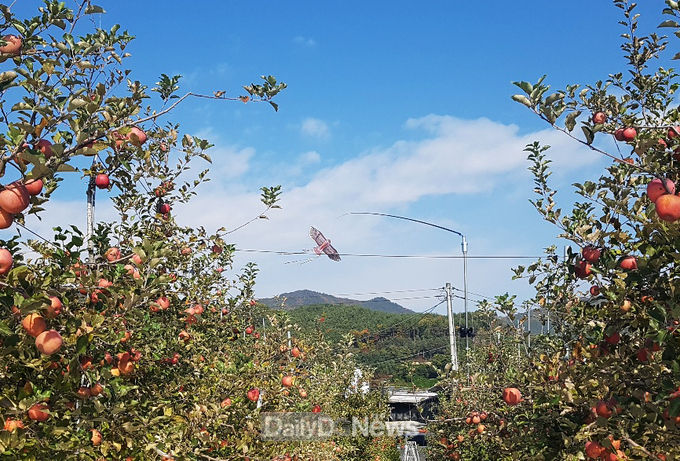 사진제공 안동시