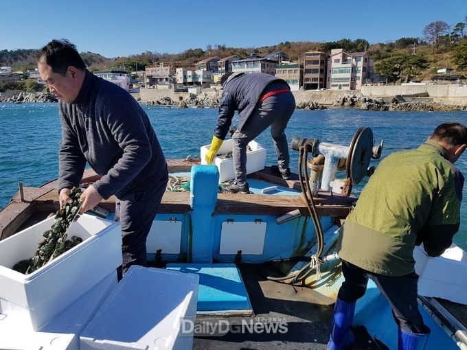 사진제공 월성원자력본부, 원전 주변 공동어장에 전복패치 방류