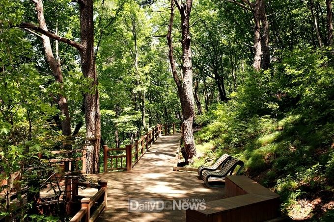 사진제공 산림청 한국산림복지진흥원