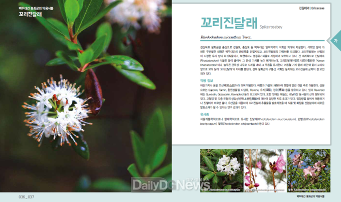 사진제공 국립백두대간수목원