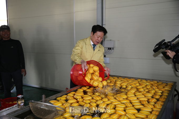 사진제공 성주군