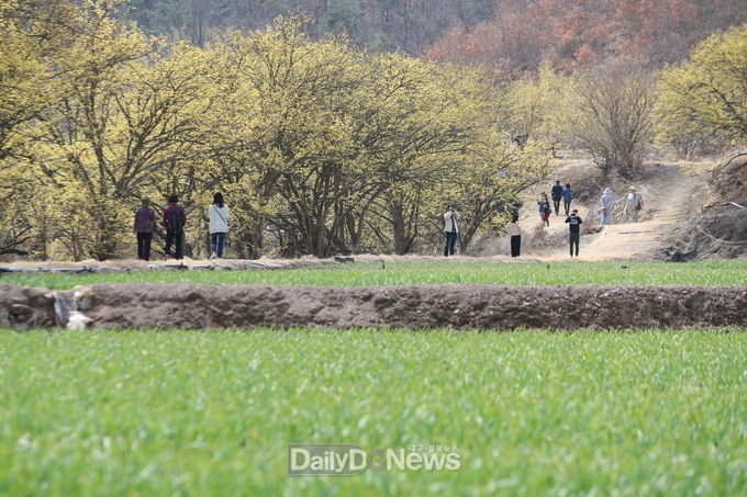 사진제공 의성군