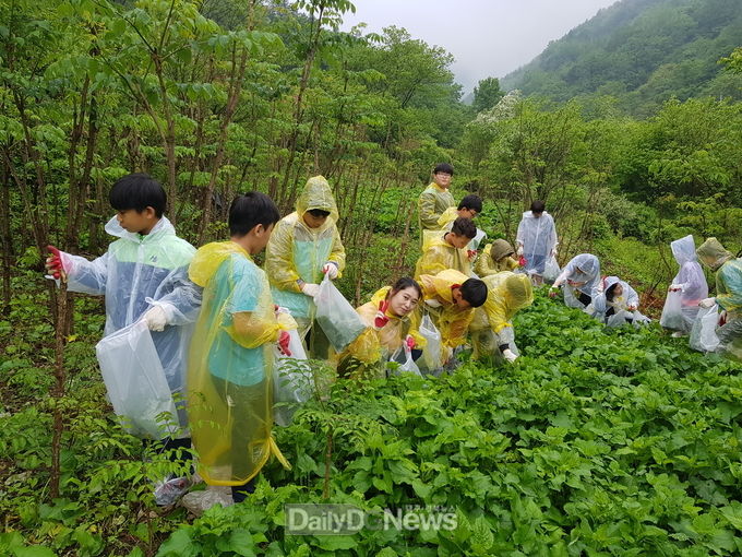 문경 궁터산촌생태마을(산나물 채취 체험)