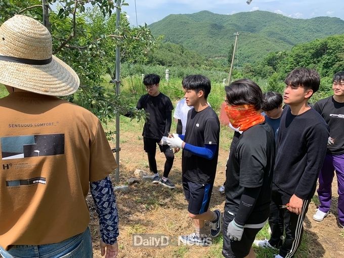 사진제공 군위군
