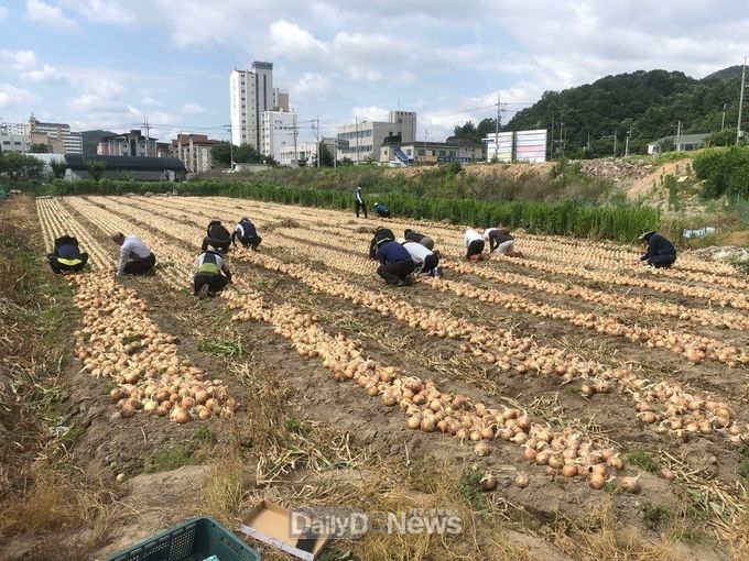 사진제공 고령군