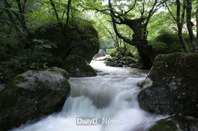 영주 죽계구곡