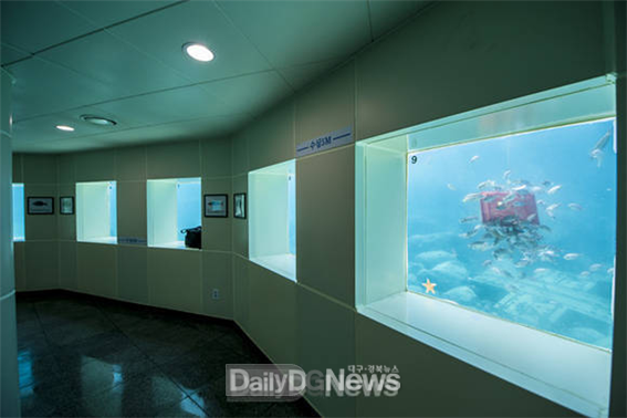 해중전망대