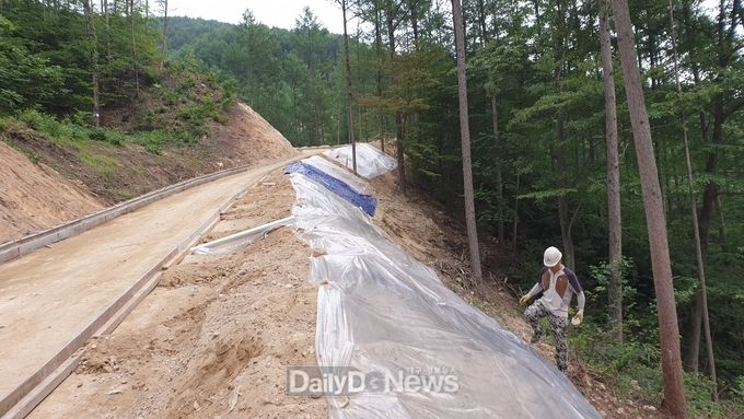 사진제공 남부지방산림청