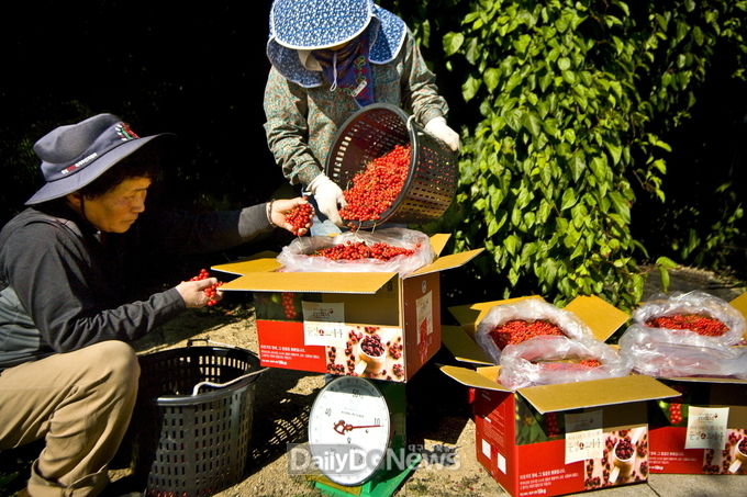 사진제공 문경시