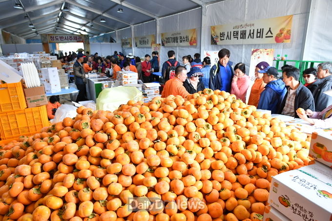 사진제공 청도군