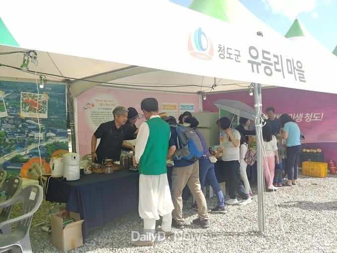 사진제공 청도군