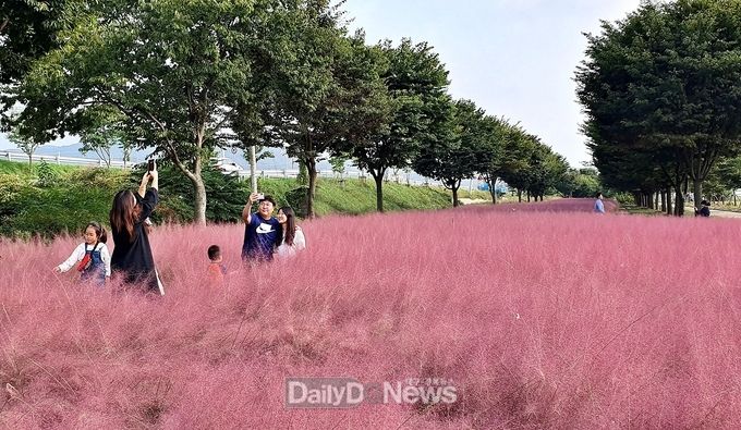 사진제공 군위군
