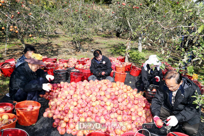 사진제공안동시