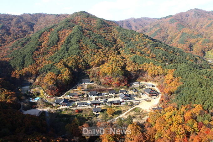 용문사