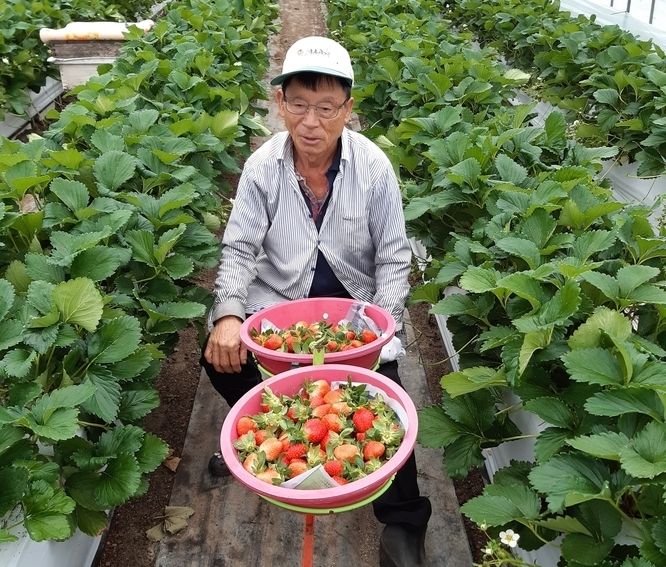 사진제공 고령군