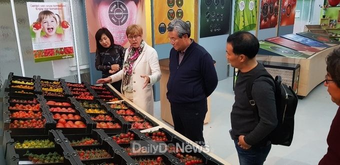 사진제공 고령군