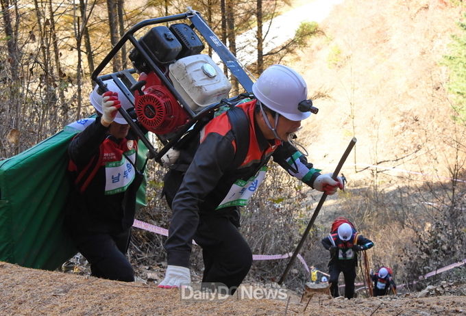 사진제공 남부지방산림청
