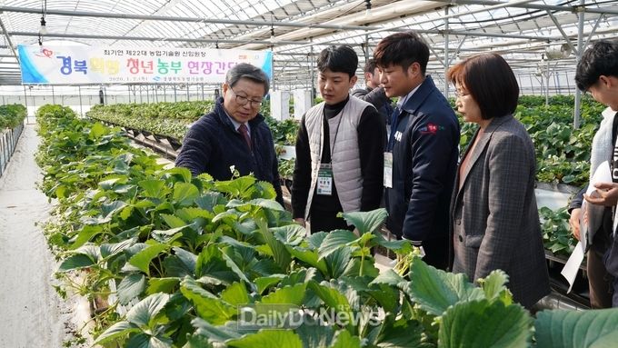 사진제공 경상북도