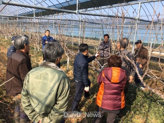 사진제공 고령군